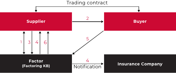 Domestic factoring with insurance Principle