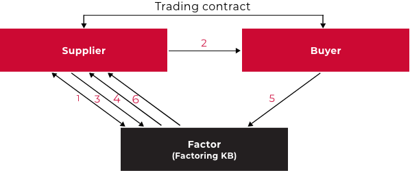 Domestic recourse factoring principle