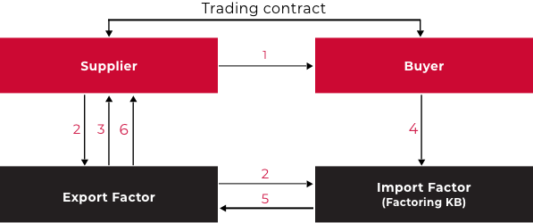 Import Factoring Principle